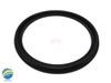 Set of (2) 2 1/2" Spa Hot Tub Heater Union Therm T Gasket Blue Ridge Gatsby