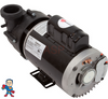 Pump, Vico Ultimax, 3.0hp, 230v, 2-Spd, 56fr, 2"Side Discharge Complete Pump