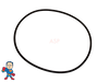 Face O-Ring Intertek LX Pump fits 48 or 56 Frame Replacement Face O-Ring