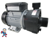 6500-907 LX Circulation Pump WTC50M 230V 2006+ Jacuzzi® J-400 Premium Sundance® 1 1/2" Side Discharge