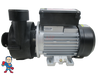 6500-907 LX Circulation Pump WTC50M 230V 2006+ Jacuzzi® J-400 Premium Sundance® 1 1/2" Side Discharge