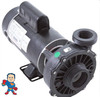 Hi-Flo, Pump, Waterway, 2.0hp, 230v, 2-Speed, 48 frame, 2" X  2"