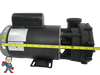 56Fr Jacuzzi® Intertek LX Pump with mounting bracket 2" X 2" 2 Speed 230V WUA400
