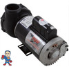 Pump, Waterway Viper, 4.0hp, 230v, 2-spd, 56fr, 2-1/2" x 2-1/2"", OEM
The measurement from the edge of the thread to the edge of the thread on the Suction and Pressure side is 3 11/16"..