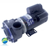 Complete Pump, 1431701-01, Watkins, Vendor Code 4081, Solana, Hot Spot, 1.5HP, 115v, 10.5A, 48 frame, 2"x 2", 1 or 2 Speed