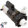 56Fr Jacuzzi® Sundance Intertek Baseless Pump 2" X 2" 1 Speed 230V WUA400I 6500-352 6500-363 6500-365