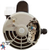 56Fr Jacuzzi® Sundance Intertek Baseless Pump 2" X 2" 1 Speed 230V WUA400I 6500-352 6500-363 6500-365