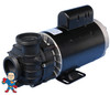 Pump, Sta-Rite, Dura-Jet, DJ, 3.0hp, 230v, 2-spd, 56fr, 2"Side Discharge