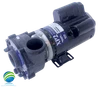 Hot Spring, Watkins, Pump, Vendor Code 4081, 0982601, 2.5HP, 230v,2-spd, 48frame