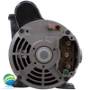 Note: The wiring set up can vary based on the brand of the motor sent with the new pump.. In most cases the following information will be correct. (C for Common) White Wire, Green for Ground to Pump Body Screw, (L for Low Speed) Black Wire and (H for High) Red Wire. There are exceptions where Red is Low and Black is High but most of the time Black is Low and Red is High. If you didn't make sure when you power up the first time listen for the pump to come on in low speed first if it is high first you have the wires backward which will cause your hot tub to overheat.