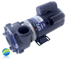 Complete Pump, Aqua-Flo, XP2, 2.5HP, 230v, 2-spd, 48frame, 2", 1 or 2 speed 10.7A
The Suction and Pressure Sides measures about 3" Edge to Edge..
