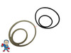 This is an example of the old gasket and the new o-rings..
