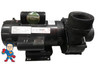 Speck Pump 21-80/33GS 4.0HP SF1.25 EE 208-230V 21.0-19.4A MAX