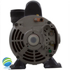 Circulation Pump, 1/15HP, 60HZ, 230 VAC, Side Discharge For Pilates, La-Z-Boy, Freestyle, Hydro Spa - Rear