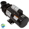 Pump, Sta-Rite, Dura-Jet, DJ, 2.0hp, 230v, 2-spd, 48fr, 2"Side Discharge