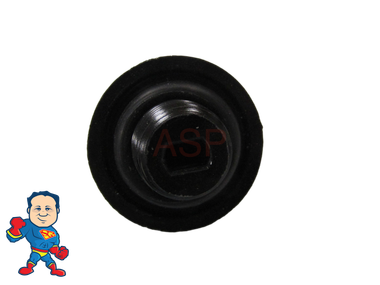 Drain Plug, Pentair StaRite IntelliPro