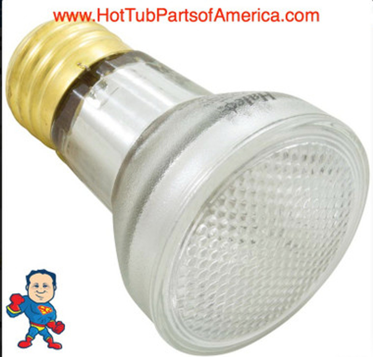 Replacement Bulb, R20, Flood Lamp, 100w (60w Halogen), 115v, Edison Style Screw in
