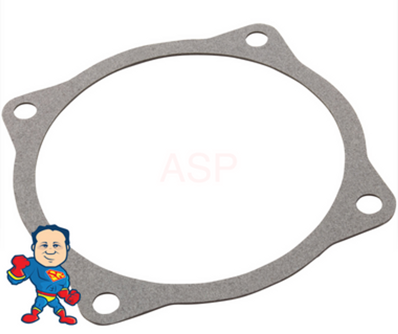 Gasket, AquaFlo A, Volute, 4-13/16"ID, 5-1/2"OD, Generic