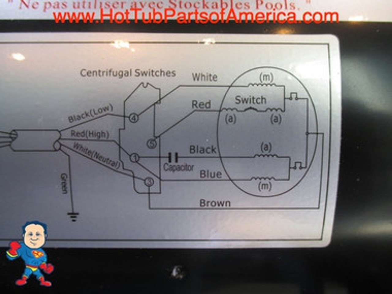 An Example of a 230V (2) Speed Guangdong LX motor wiring on the Motor End:
Low Speed Black wire goes on (4)
High Speed Red Wire goes on (1) 
Common or Neutral White Wires goes on (3) Note: In this case this wire would be Hot 115V..
Green goes on 1/4" Screw to the body cover...