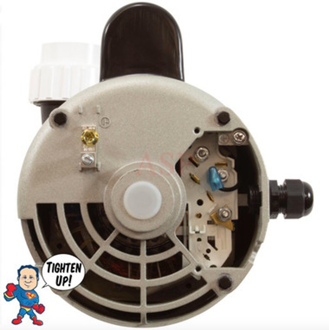 56Fr Jacuzzi® Sundance Intertek Baseless Pump 2" X 2" 2 Speed 230V WUA400II 6500-367