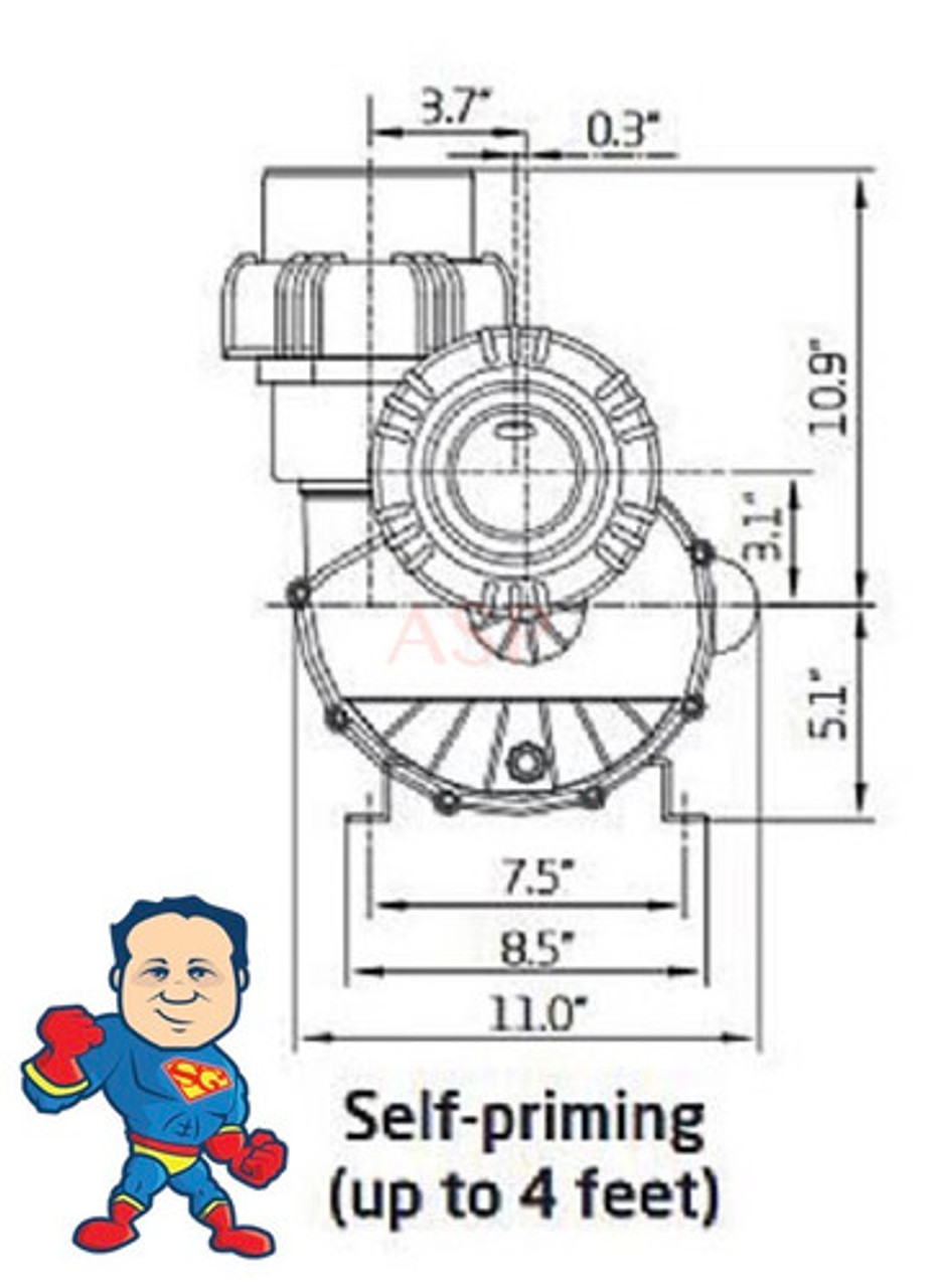 Speck Pump 21-80/33GS 4.0HP SF1.25 EE 208-230V 21.0-19.4A MAX