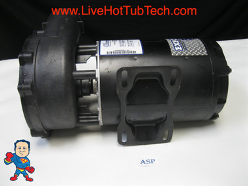 Pump, WW Exec, 3.0hp, 230v, 2-spd, 56fr, 2-1/2" x 2", OEM Pump, WW Exec, 3.0hp, 230v, 2-spd, 56fr, 2-1/2" x 2", OEM