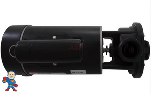 Pump, Waterway E-Series, 1.5hp, 230v, 2-spd, 48fr, 1-1/2", Center DischargePump, Waterway E-Series, 1.5hp, 230v, 2-spd, 48fr, 1-1/2", Center Discharge Pump, Waterway E-Series, 1.5hp, 230v, 2-spd, 48fr, 1-1/2", Center DischargePump, Waterway E-Series, 1.5hp, 230v, 2-spd, 48fr, 1-1/2", Center Discharge