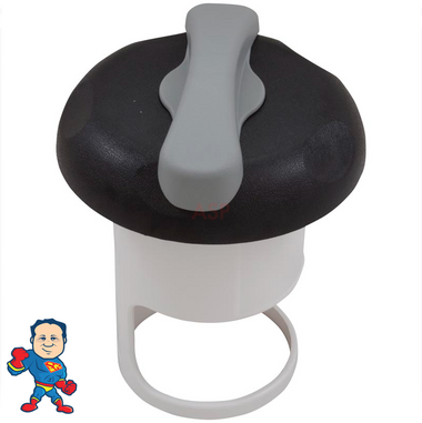 5" Pentair, Top Access, Diverter Valve, Kit , Black & Gray