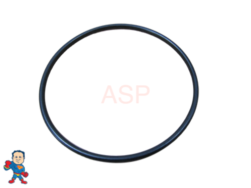 O-Ring for Pump Union Swim56-15  5HP WUA 500 Pump Wet End 56Fr fits Energy-Rite LX Pumps 2 1/2" X 2 1/2" O-Ring for Pump Union Swim56-15  5HP WUA 500 Pump Wet End 56Fr fits Energy-Rite LX Pumps 2 1/2" X 2 1/2"