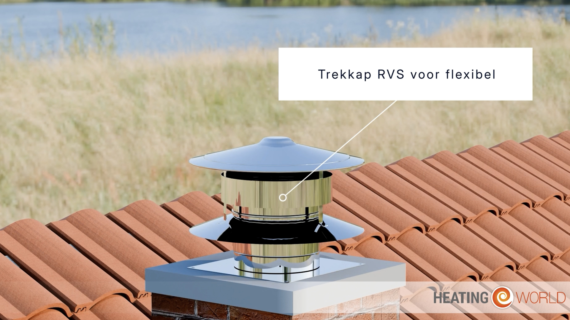 rookkanaal door dak schoorsteen met trekkap rvs