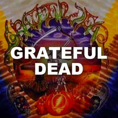 Happylife Productions Grateful Dead Dancing Bears Tie Dye T Shirt L