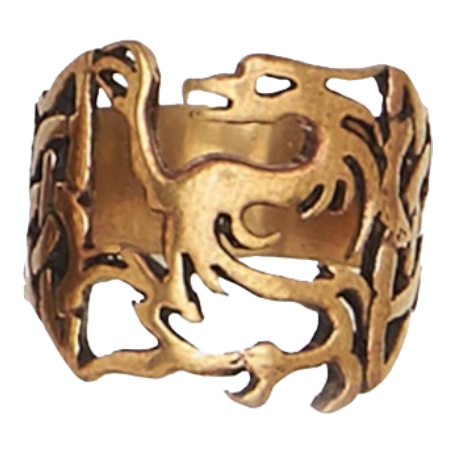 Celtic Hollow Dragon Bronze Ring Aaron's Alley