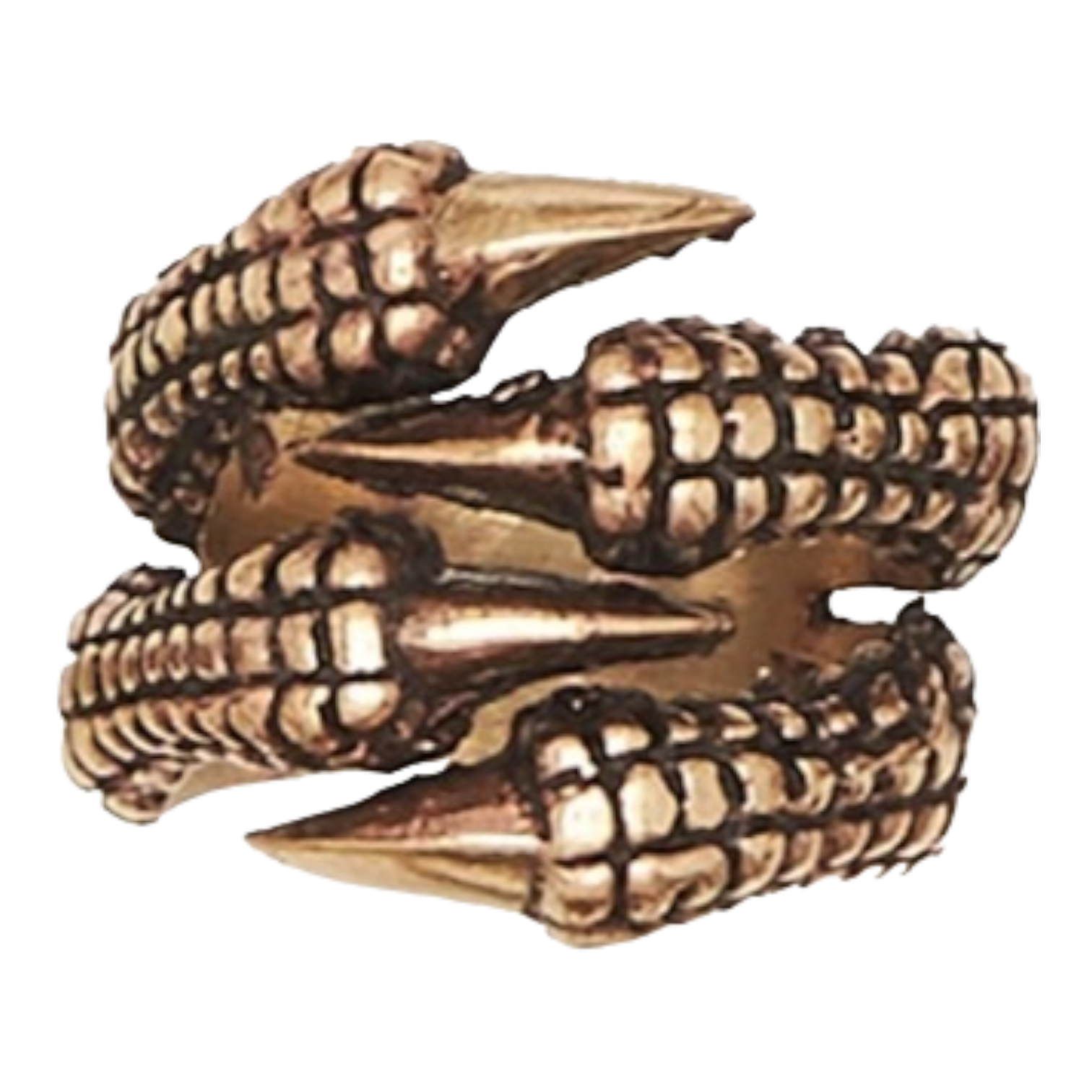 Quad Dragon Claw Bronze Ring Aaron's Alley