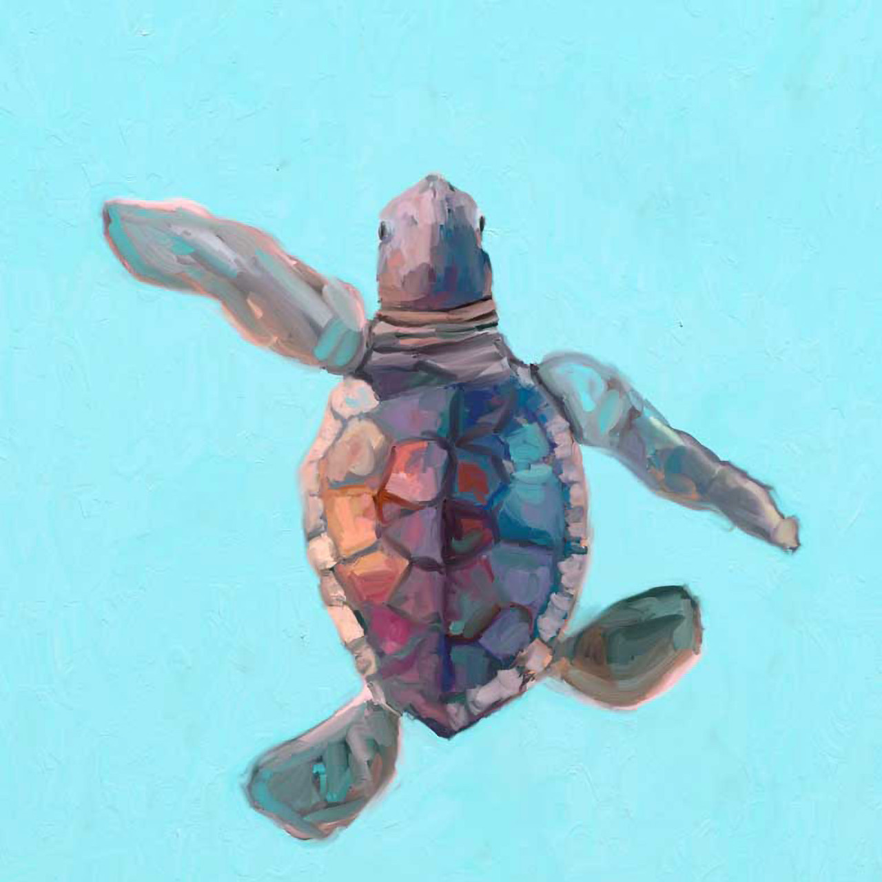 Greenbox Swimming Baby Turtle 2 6x6 Canvas Wall Art