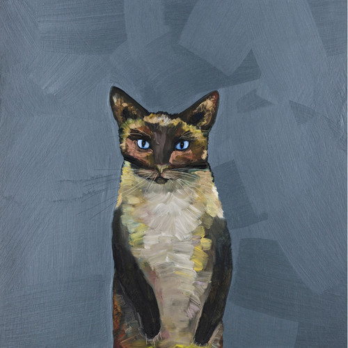 Siamese Cat Stretched Canvas Wall Art