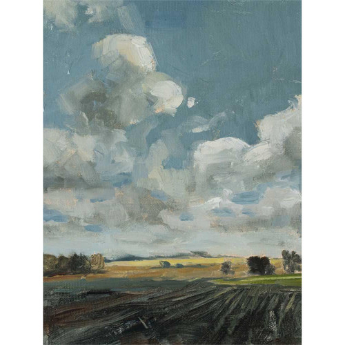Country Fields Stretched Canvas Wall Art