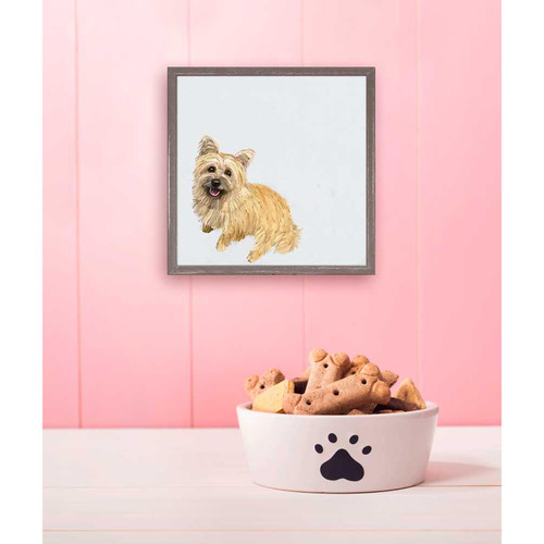 Good Boy Cairn Terrier Mini Framed Canvas