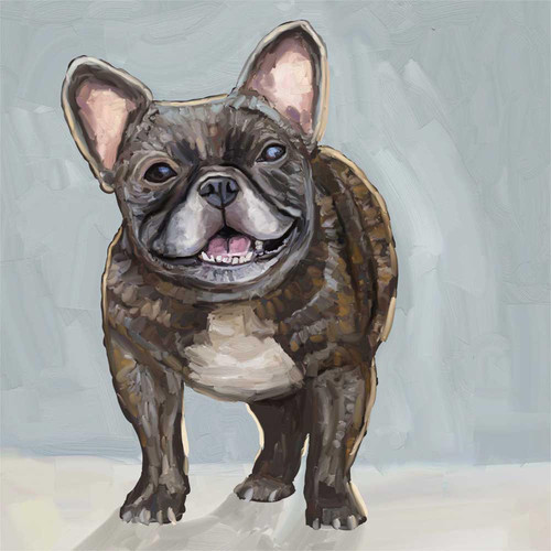 Good Boy Frenchie Stretched Canvas Wall Art