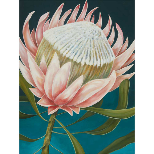 King Protea Stretched Canvas Wall Art