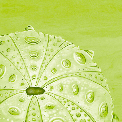 Lime Urchin Stretched Canvas Wall Art