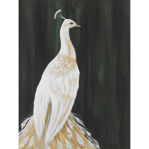 White Peacock Stretched Canvas Wall Art