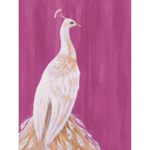 White Peacock on Raspberry Stretched Canvas Wall Art