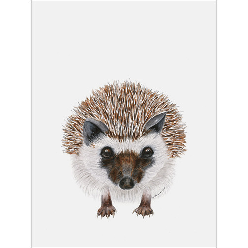 Baby Hedgehog Portrait Stretched Canvas Wall Art