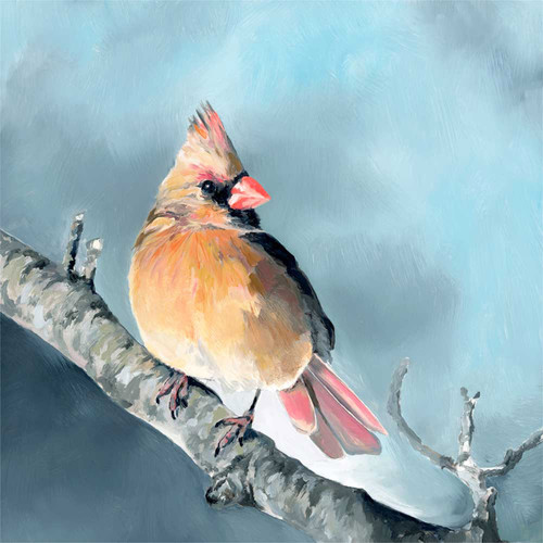 Avian Spotlight - Golden Hour Cardinal Stretched Canvas Wall Art