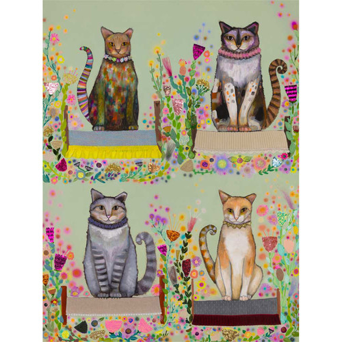 Feral Cat Beds Stretched Canvas Wall Art