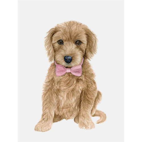 Golden Doodle Portrait Stretched Canvas Wall Art