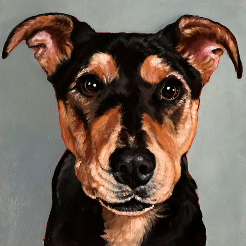 Leroy Wants A Treat Stretched Canvas Wall Art