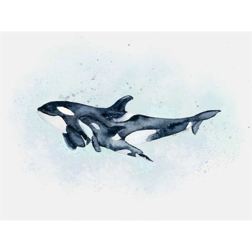 Mom And Baby Orcas Stretched Canvas Wall Art