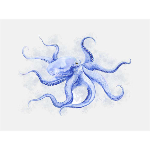 Octopus Portrait Stretched Canvas Wall Art
