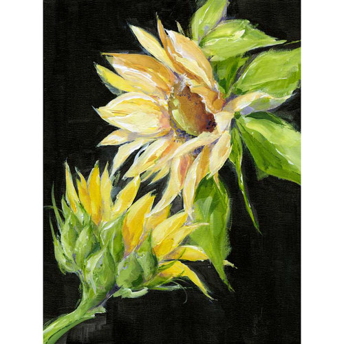 Sunflowers On Black Stretched Canvas Wall Art